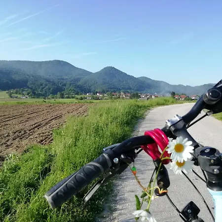 Winery And Marof * Bistrica ob Sotli