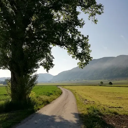 Apartamento Winery And Marof Bistrica ob Sotli