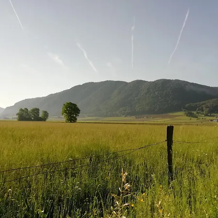 Appartement Winery And Marof *