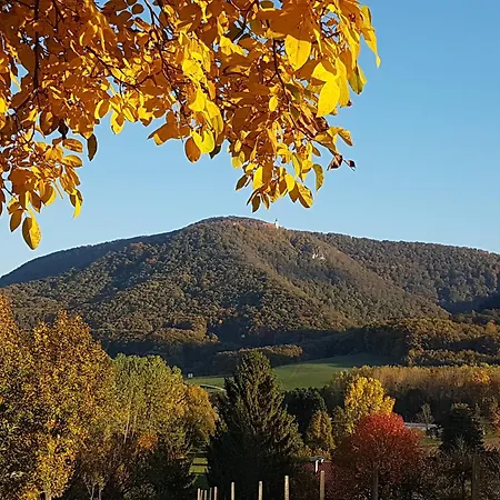 Apartamento Winery And Marof *