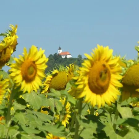 Winery And Marof Apartamento *