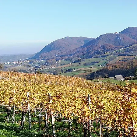 Winery And Marof Appartement Bistrica ob Sotli