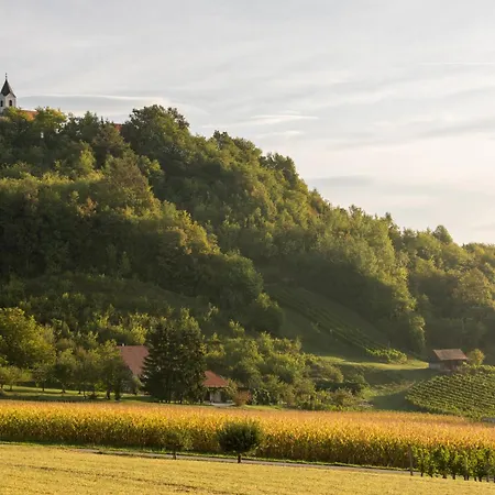 Winery And Marof Apartamento Bistrica ob Sotli