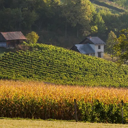 Winery And Marof Apartamento