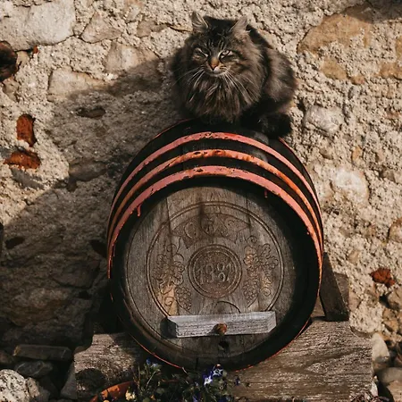 Winery And Marof