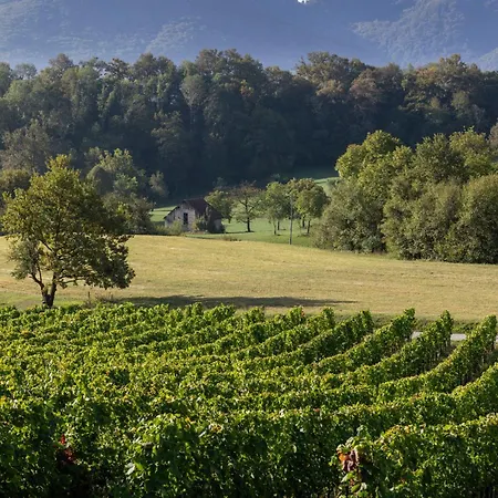 Apartamento Winery And Marof