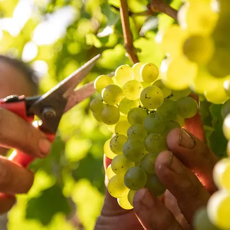 アパート Winery And Marof Bistrica ob Sotli