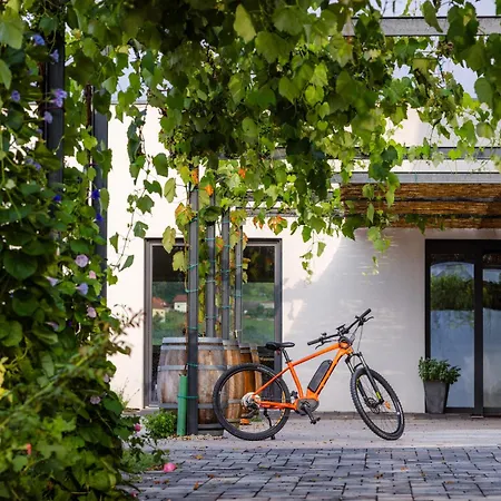 Winery And Marof *
