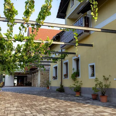 Winery And Marof *