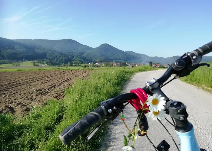 Winery And Marof * Bistrica ob Sotli