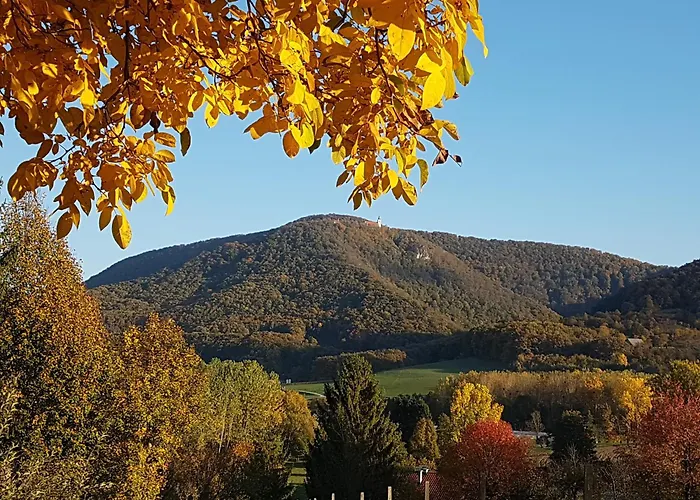 شقة Winery And Marof *