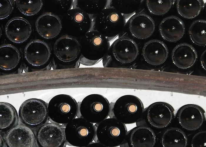 شقة Winery And Marof Bistrica ob Sotli