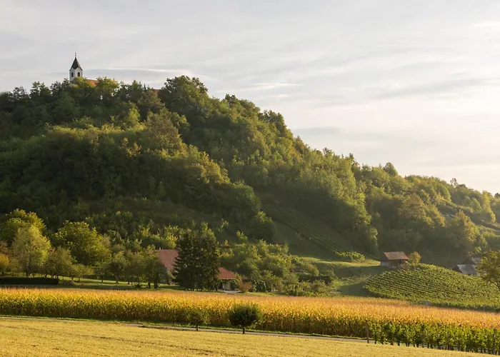 Winery And Marof شقة Bistrica ob Sotli