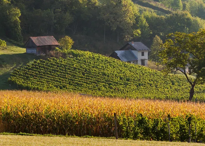 Winery And Marof شقة