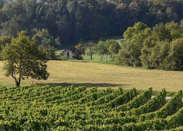 شقة Winery And Marof