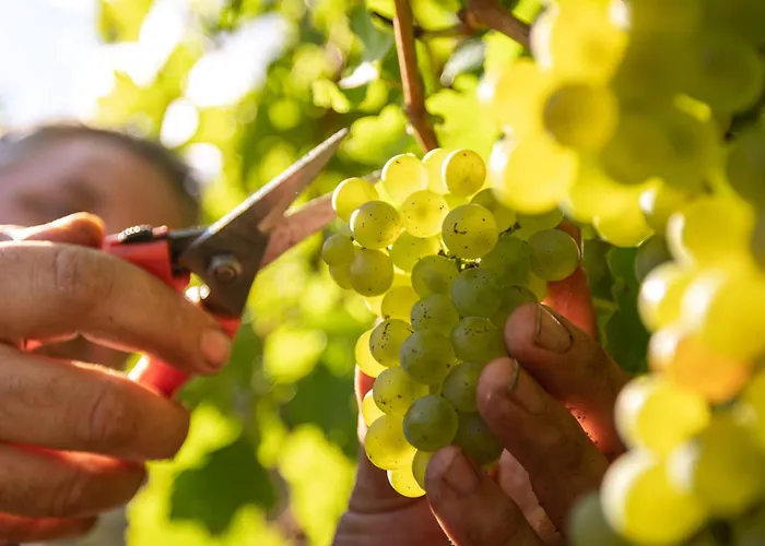 شقة Winery And Marof Bistrica ob Sotli